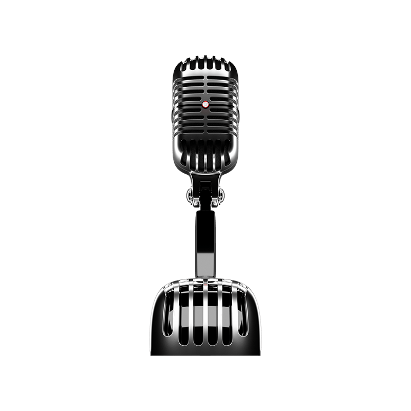 Recording Mic